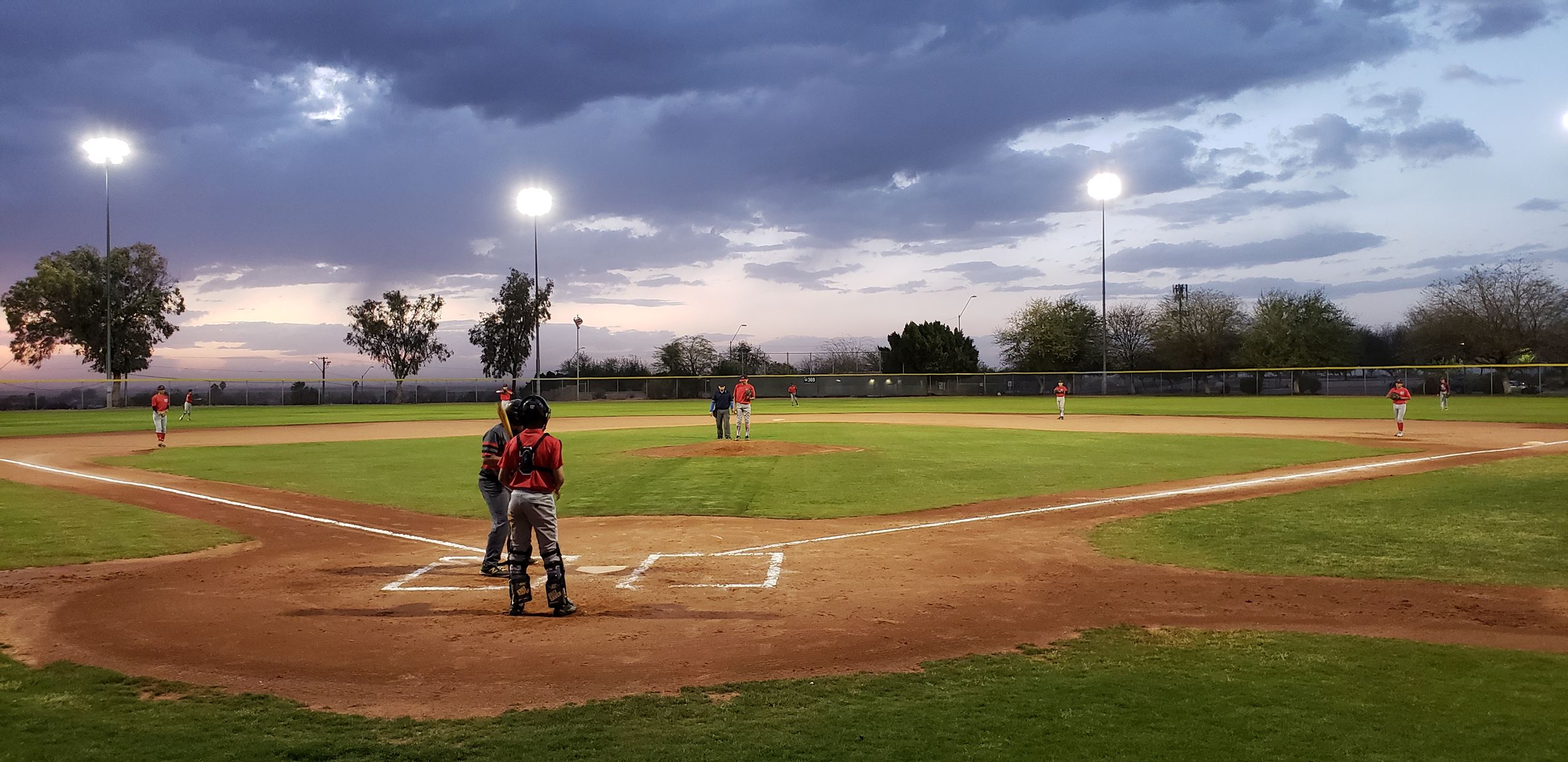 Youth Baseball League